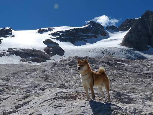 乌迪内斯主场逼平国米,恩尼斯定胜局进球,意甲乌迪内斯vs威尼斯