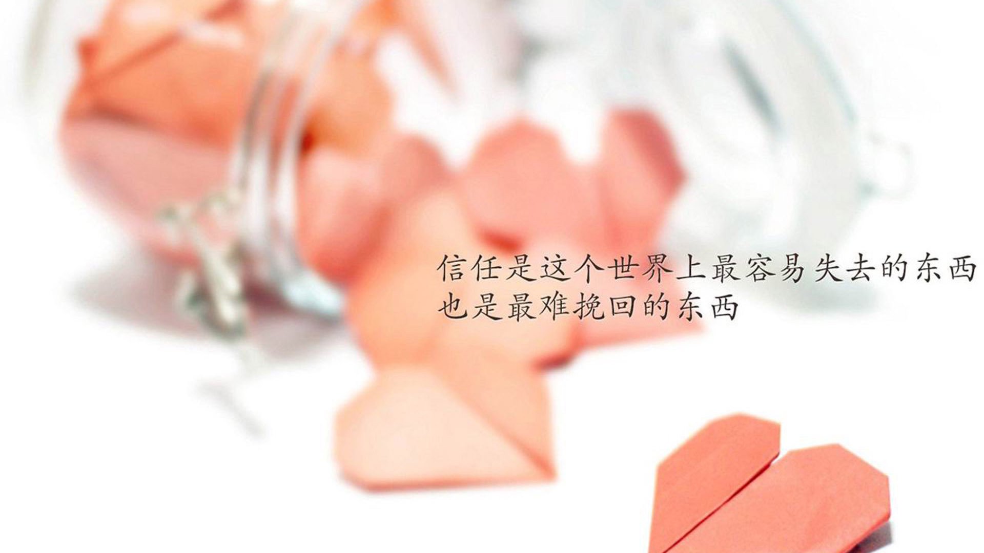 全国青少年自行车赛山东赛段精彩纷呈，2021青少年自行车赛事