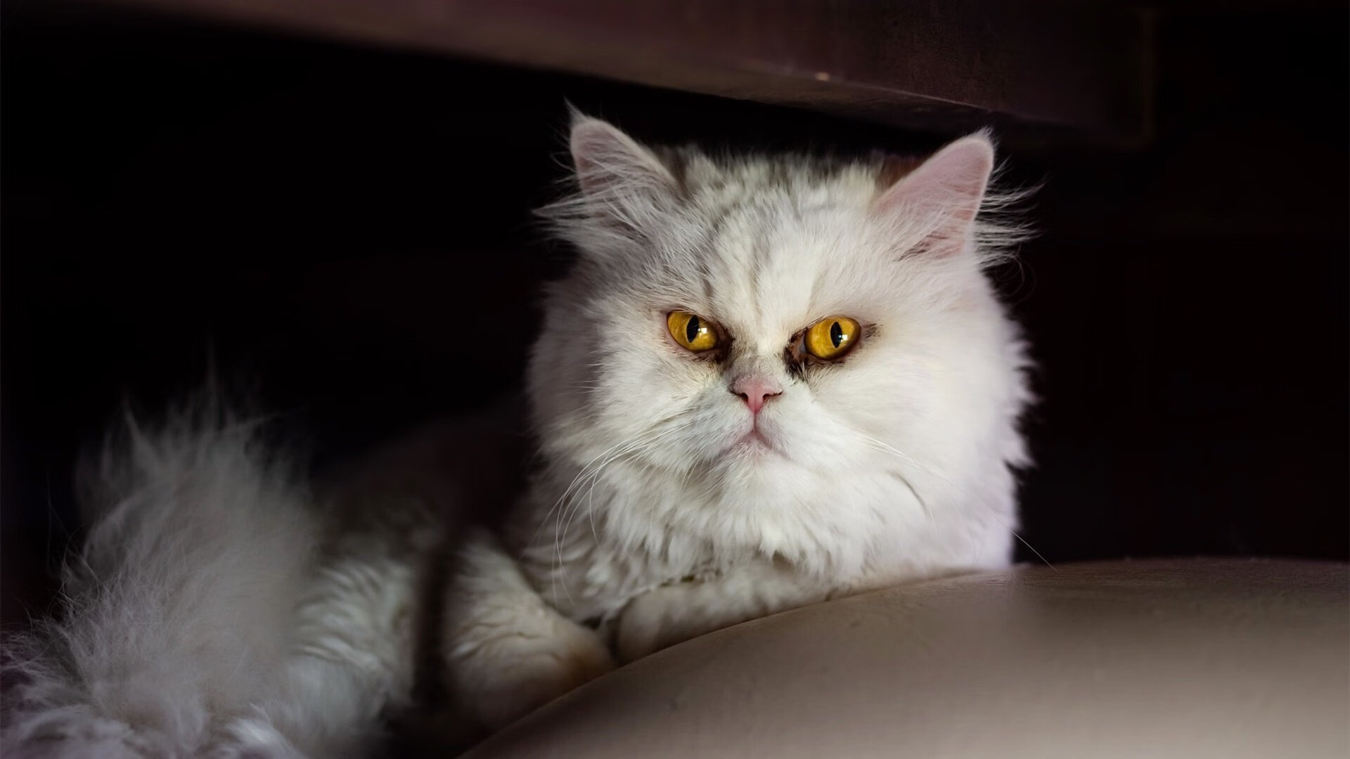 欧洲豪门“厮杀”:皇马、拜仁、曼城火拼季