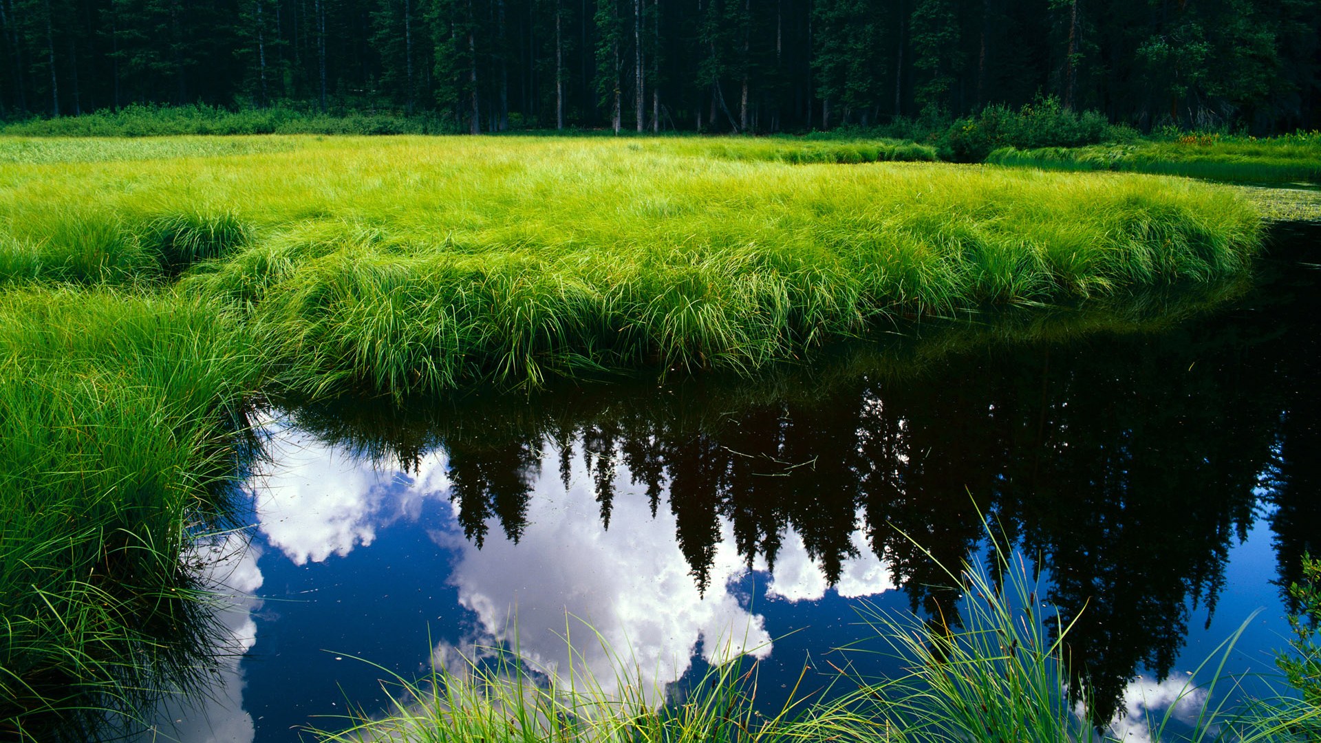 东亚杯中国女足爆冷 球员需要提升把握机会能力，东亚女足锦标赛