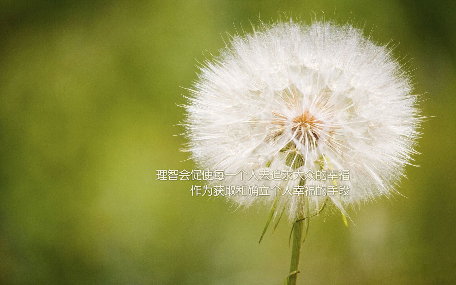 五大联赛倒数第二轮比赛是否最易出现冷门,五大联赛最多提前多少轮夺冠