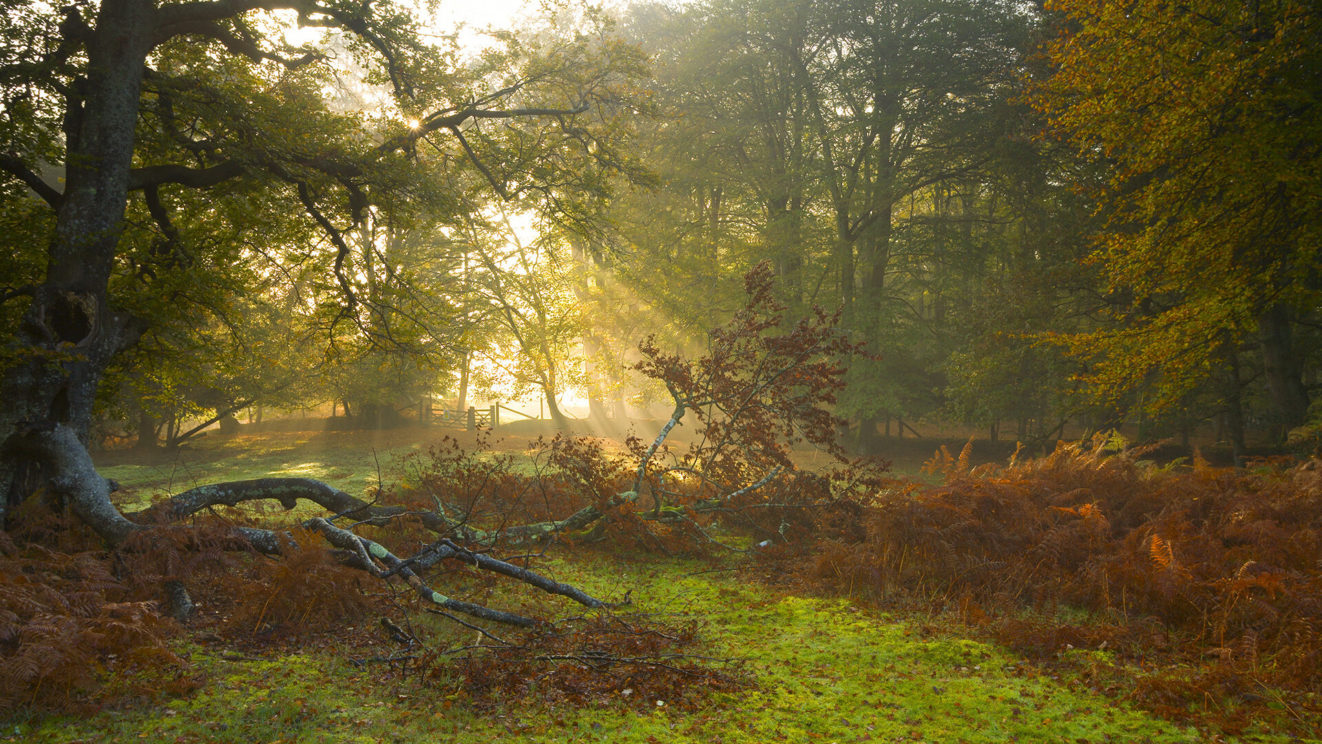 俱乐部缺少科学预算管理工具,俱乐部预算表格