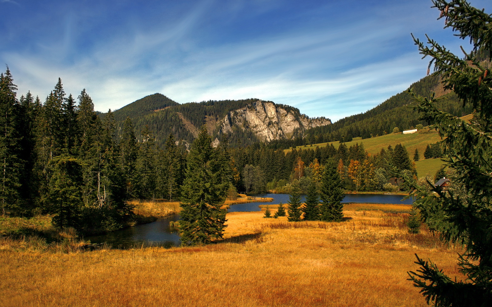 前场传控频率是否是衡量战术完整性的核心指标
