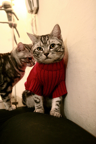 国际热身赛国足爆冷 球迷呼吁加强防守，国足热身赛大胜